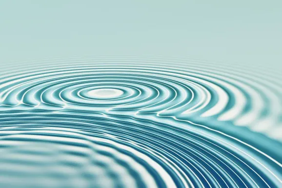 كازينو ب إن إكس بيت الدعم